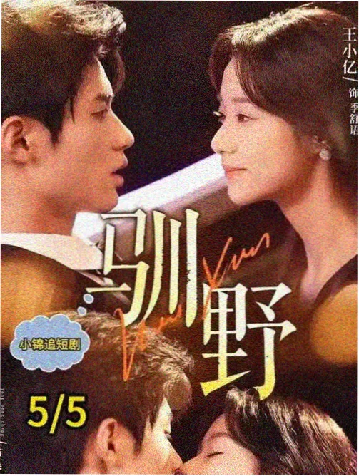 热播剧集归墟封面